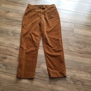 Talbots  women's Brown Pants Size 6